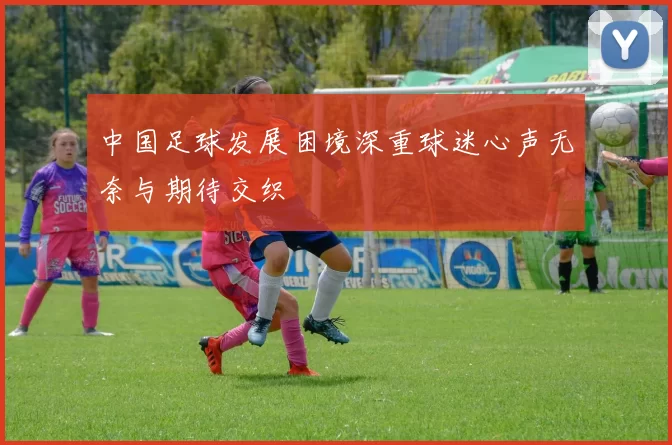 中国足球发展困境深重球迷心声无奈与期待交织