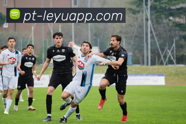 乐鱼app品牌故事