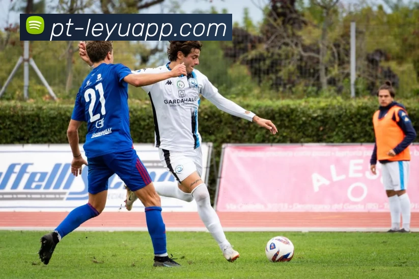 乐鱼app服务体系